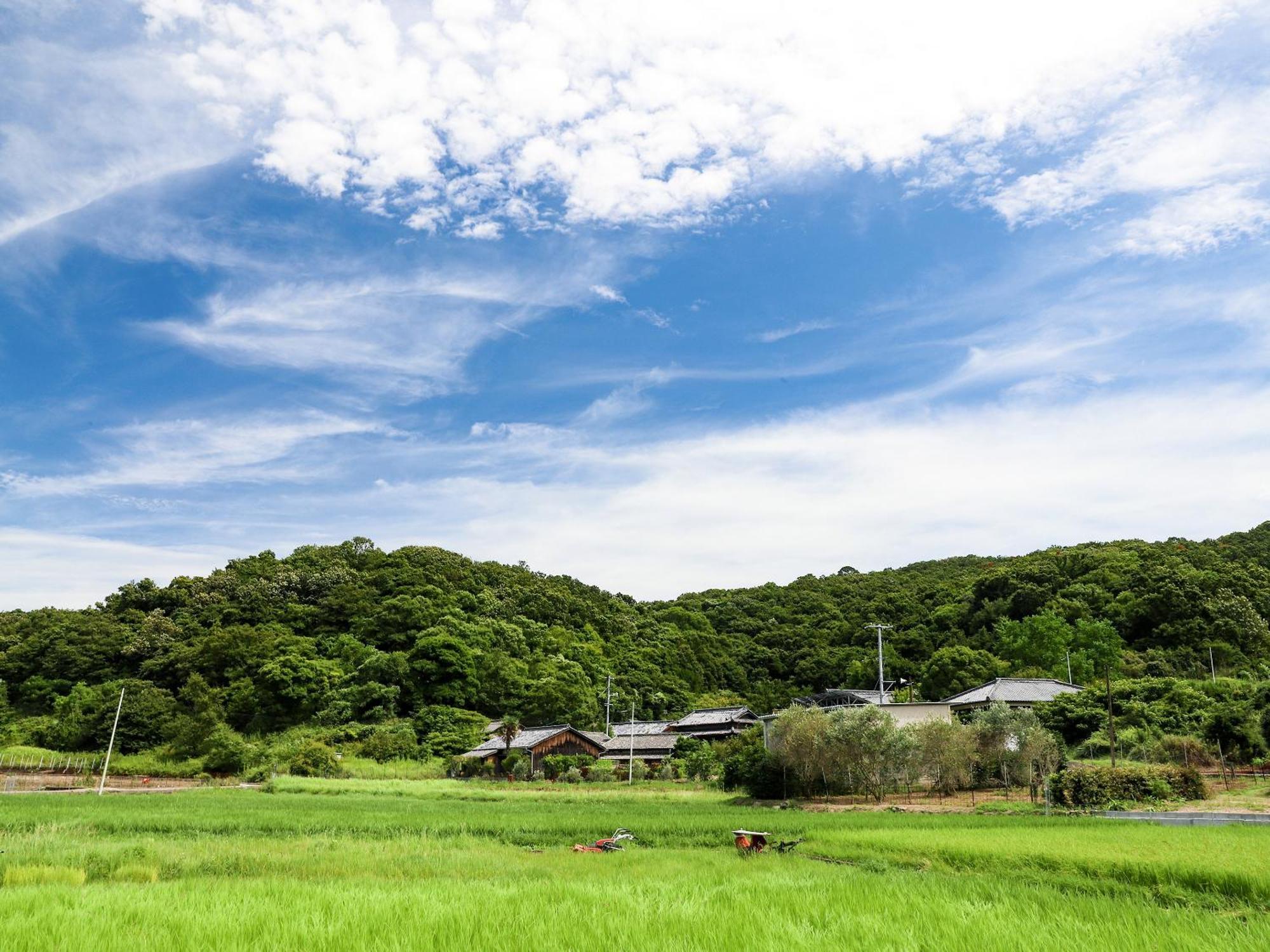 オリーブ農家の家 お泊り忠左衛門 吉野 Villa โชโดชิมา ภายนอก รูปภาพ